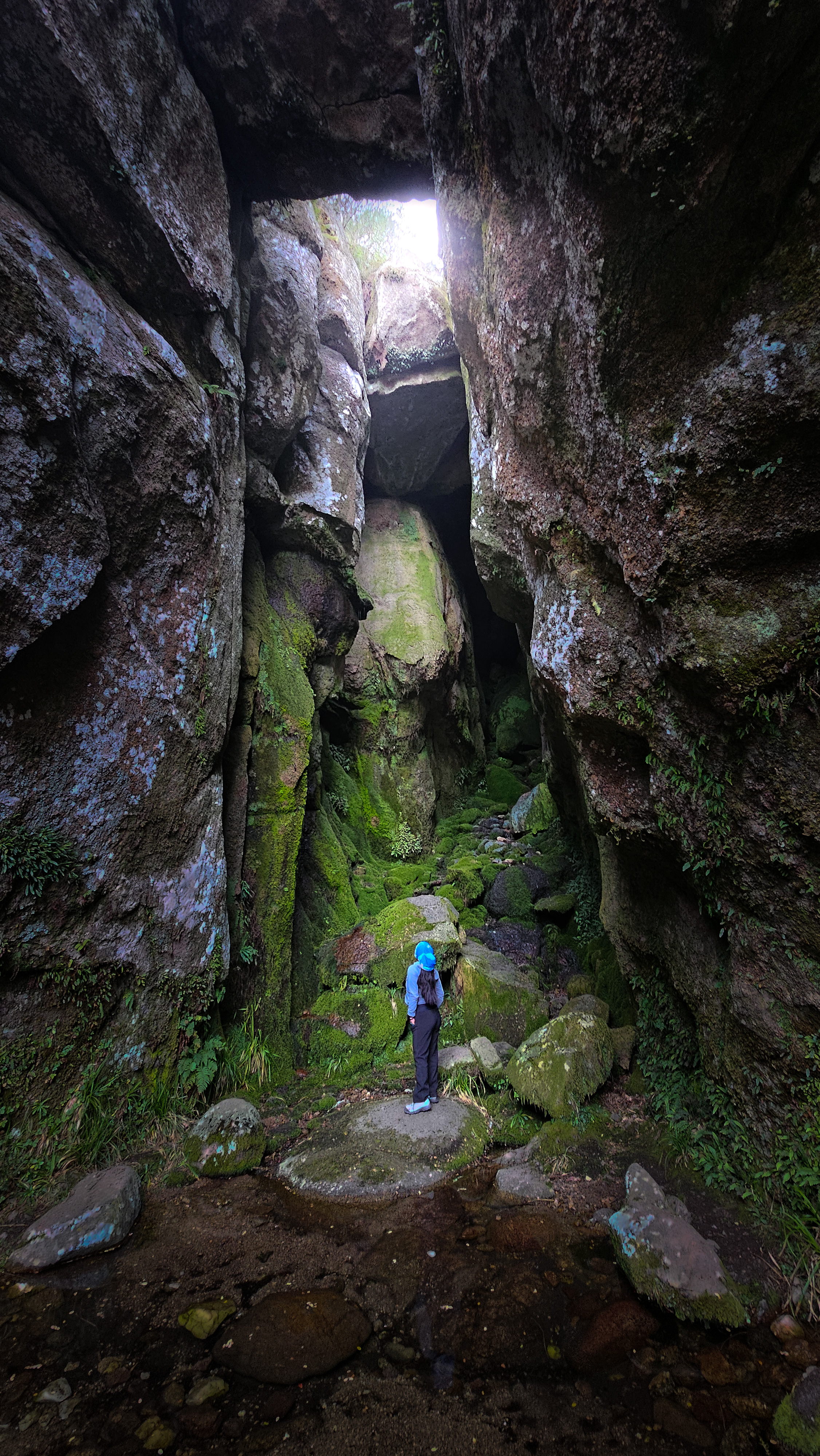 Gigantes de la Sierra